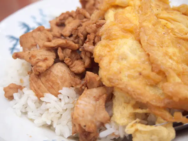 Fried Pork Rice Omelet Close — Stock Photo, Image