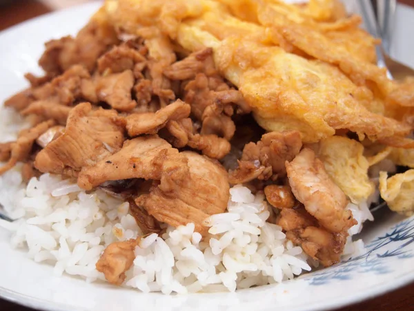 Fried Pork Rice Omelet Close — Stock Photo, Image