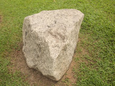 Çimenlerin üzerinde büyük taş