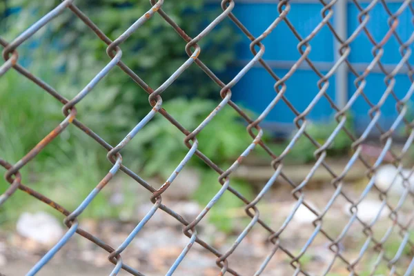 Wire Fence Close — Stock Photo, Image