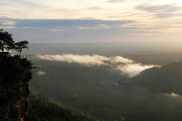 Niebla Bosque — Foto de Stock