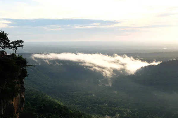 Niebla Bosque — Foto de Stock