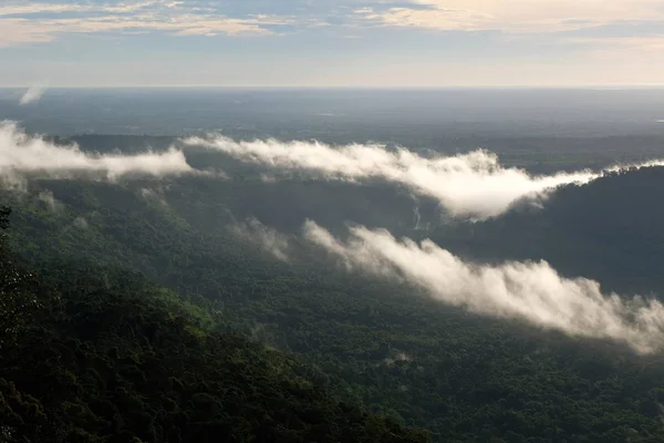 Niebla Bosque — Foto de Stock