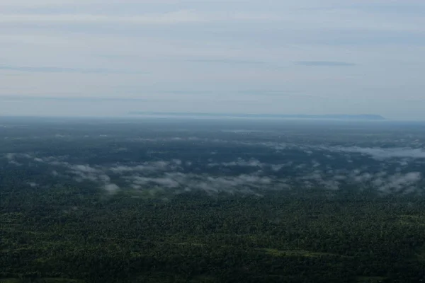 Niebla Bosque — Foto de Stock