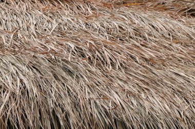 çatı kuru ot arka plan