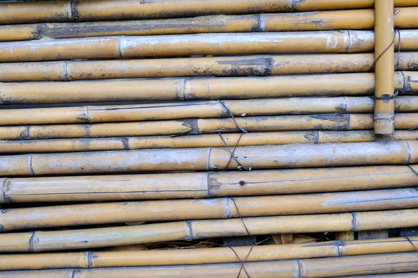 Bambusz Kerítés Közel Háttér — Stock Fotó