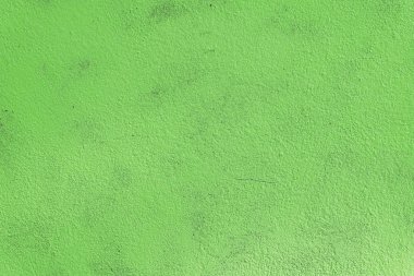 Green grunge texture cement wall. copy space