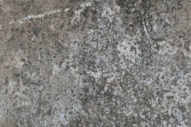 Gri grunge doku çimento duvar. kopya alanı
