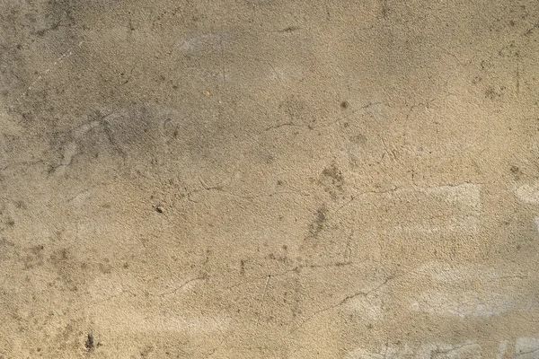 Brown grunge texture cement wall. copy space