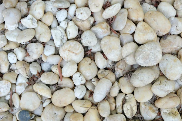 taş doku arka plan beyaz, yakın çekim