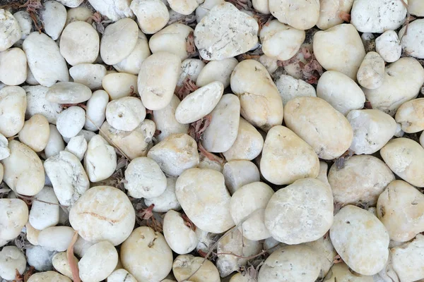 taş doku arka plan beyaz, yakın çekim