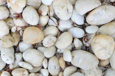 taş doku arka plan beyaz, yakın çekim