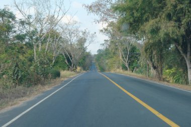 eğri asfalt yol görünümü