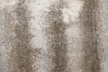 Gri grunge doku çimento duvar. kopya alanı