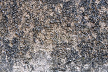 Gri grunge doku çimento duvar. kopya alanı