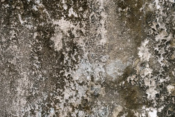 Pared Cemento Textura Grunge Gris Espacio Copia — Foto de Stock