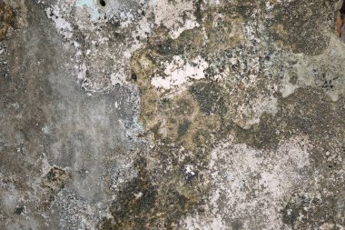 Gri grunge doku çimento duvar. kopya alanı