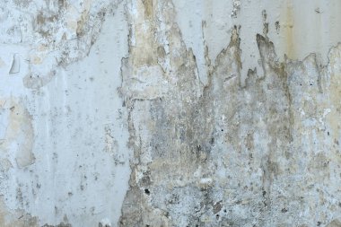 Gri grunge doku çimento duvar. kopya alanı