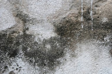 Gri grunge doku çimento duvar. kopya alanı