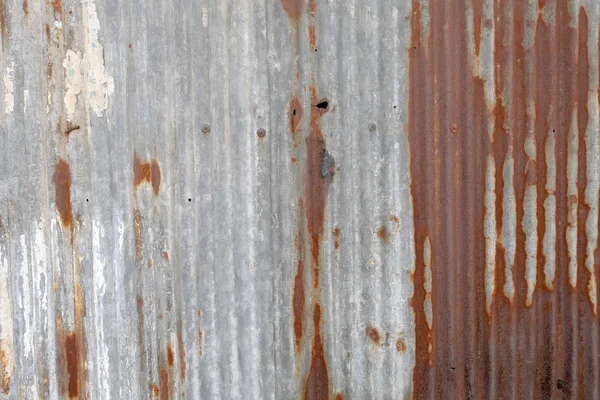 Ржавчина Цинке — стоковое фото