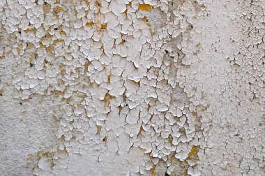 Gri grunge doku çimento duvar. kopya alanı