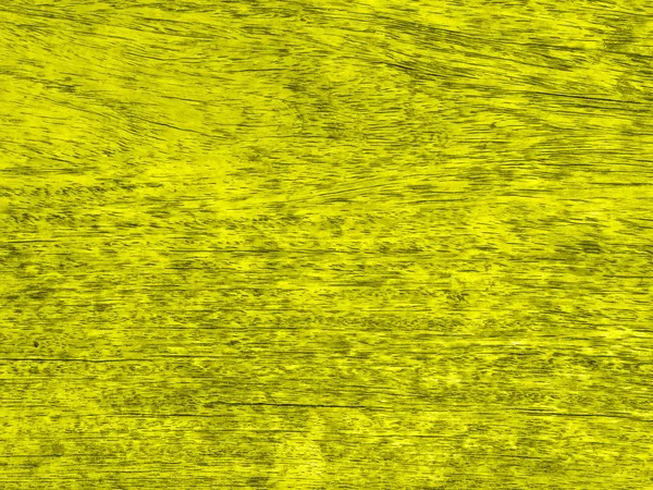 Yellow Wood Panel Background — Stock Photo, Image