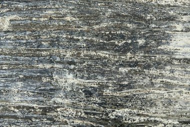 kahverengi ahşap zemin, yumuşak odak