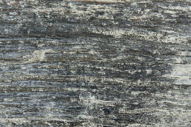 kahverengi ahşap zemin, yumuşak odak