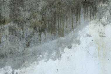 Gri grunge doku çimento duvar. kopya alanı