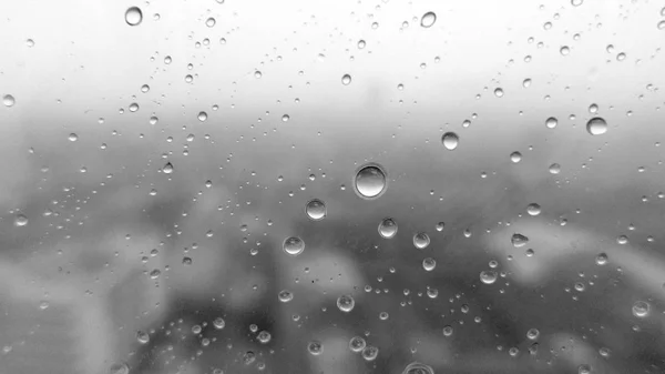 Water droplets texture on gray background — Stock Photo, Image