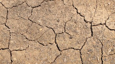 Kuru çatlamış toprak arkaplanı