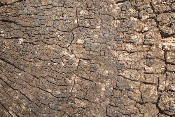 Textura de madera de fondo de cerca — Foto de Stock