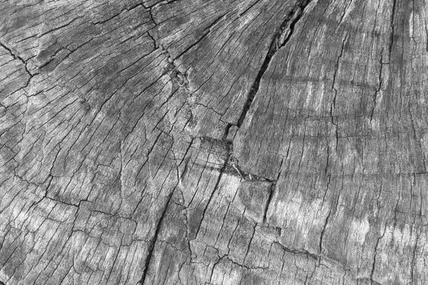 Background wood texture close up — Stock Photo, Image
