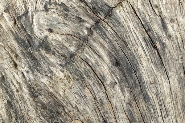 Achtergrond houtstructuur close-up — Stockfoto