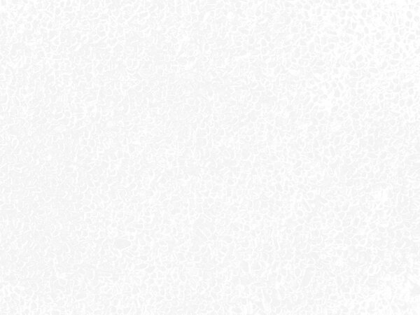white paper texture background close up