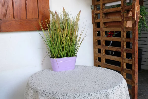 Oturma odasında masa ve bitki pot — Stok fotoğraf