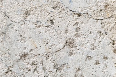 Gri grunge doku çimento duvar. kopya alanı