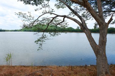 dağ ve nehir Tayland