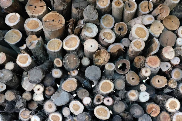 Parede de troncos de madeira empilhados — Fotografia de Stock