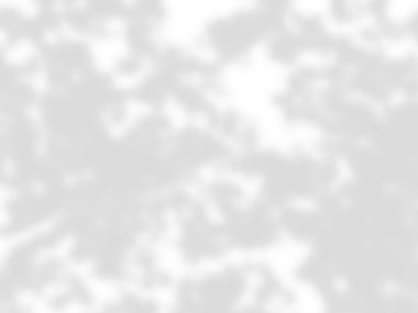 beyaz bir duvarda yaprak gölgeler