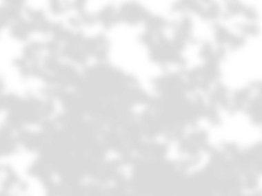 beyaz bir duvarda yaprak gölgeler