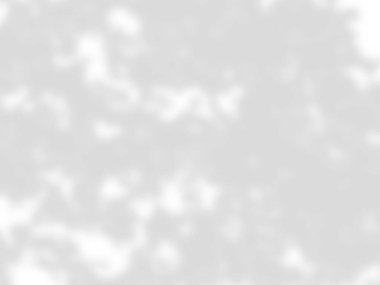 beyaz bir duvarda yaprak gölgeler