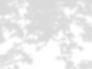 beyaz bir duvarda yaprak gölgeler