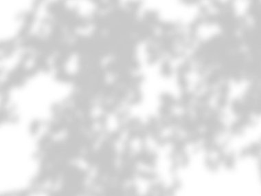 beyaz bir duvarda yaprak gölgeler