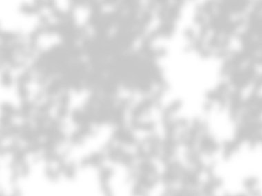 beyaz bir duvarda yaprak gölgeler