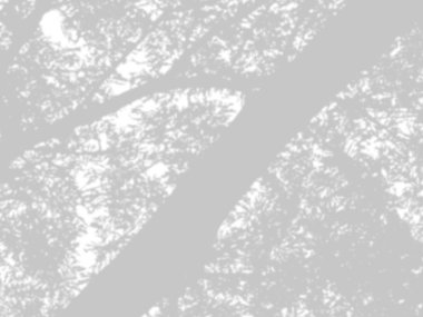 beyaz bir duvarda yaprak gölgeler