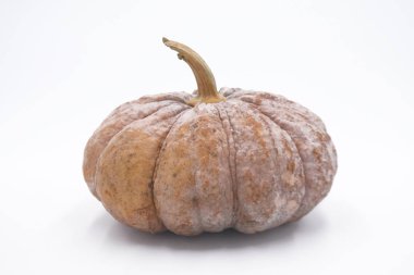 Beyaz arkaplanda kabak izole.