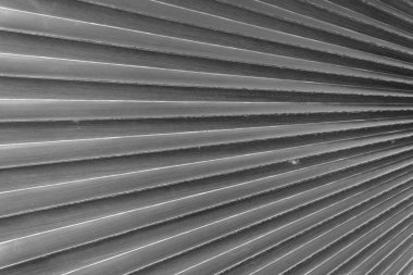 kuru siyah ve beyaz yaprak dokusu