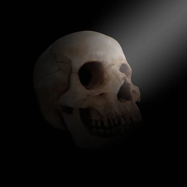 人間の頭蓋骨と黒い背景の照明 — ストック写真