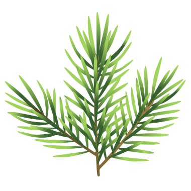 Beyaz arkaplanda izole edilmiş Noel ağacı çizimi